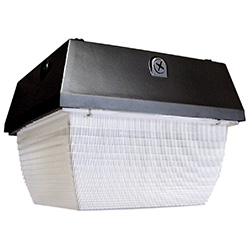 TL402 Series Large, Square Canopy, CF, 84W