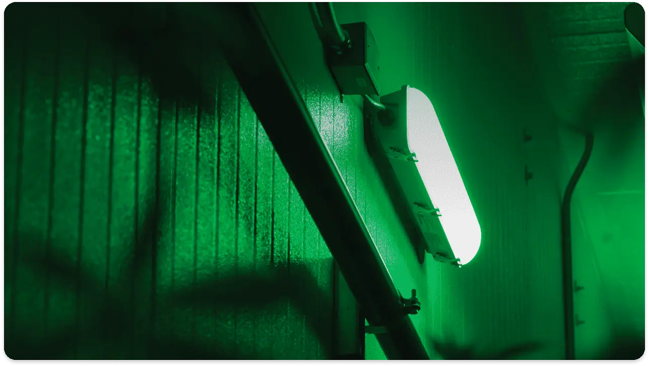 Growlite Horticultural Lighting and Controls Banner