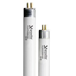 Real Red T5HO 2' and 4' Fluorescent Lamp