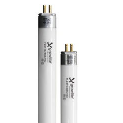 Tru Blue T5HO 2' and 4' Fluorescent Lamps