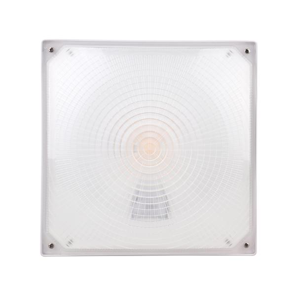 ECX Series Square Slim Die-cast LED Canopy