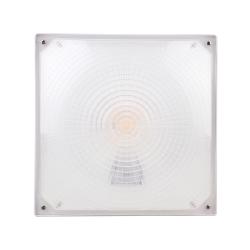 ECX Series Square Slim Die-cast LED Canopy